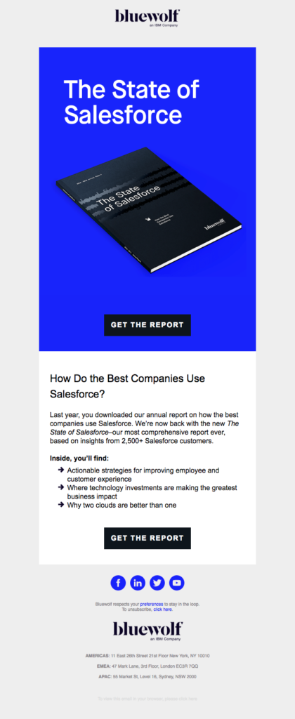 BlueWolf email newsletter example
