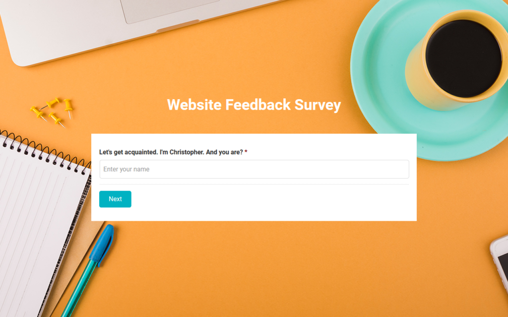 website feedback survey example