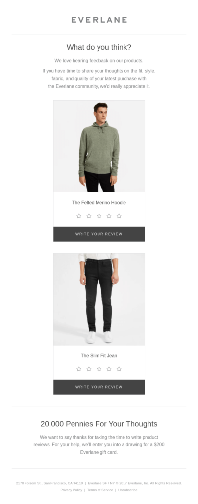 email example from Everlane pennies for your thoughts