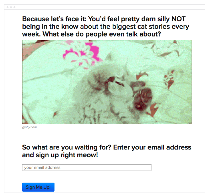 Buzzfeed email Self segmentation example