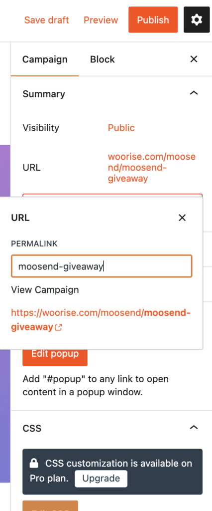 Woorise dashboard campaign url customization